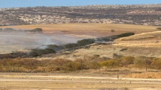 Ormanlık alanda korkutan yangın