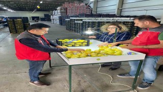 Ortacada ihracata giden ürünlere onay