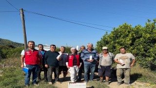 Ortacada narenciye bahçelerinde zararlılara karşı mücadele  sürüyor