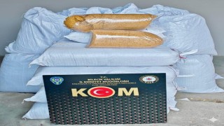 Osmanelide kaçak tütün operasyonu