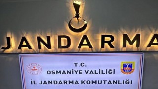 Osmaniye Jandarması, Aranan Dolandırıcılık Zanlısını Yakalandı