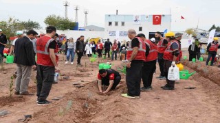 Osmaniyede 11 Kasım Milli Ağaçlandırma Gününde fidanlar toprakla buluştu