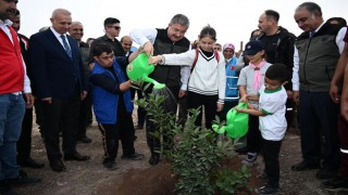 Osmaniye’de 143 Bin Fidan Toprakla Buluştu