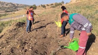 Osmaniye’de Deprem Şehidi Öğretmenler İçin Hatıra Ormanı Kuruldu