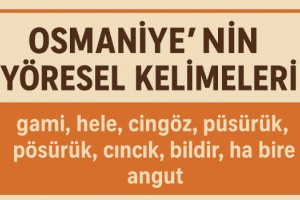 Osmaniye’nin Yöresel Kelimeleri: Çukurova Kültürünü Günümüze Taşıyor