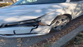 Otomobil ayıya çarptı