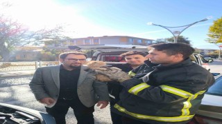 Otomobilin motor kısmına sıkışan yavru kedi itfaiye ekiplerince kurtarıldı