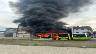 Park halindeki otobüsler cayır cayır yandı