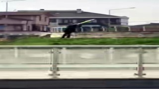 Parkta hayrete düşüren görüntü: Korkulukları tek tek söktü