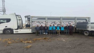 Patnosta on bin haneye kömür desteği