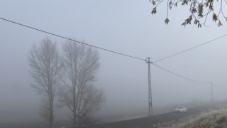 Patnosta yoğun sis yaşamı olumsuz etkiledi