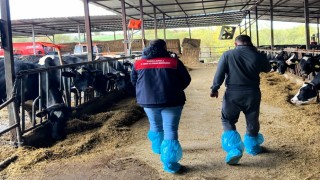 Pınarhisarda ari hayvan işletmelerindeki çalışmalar incelendi