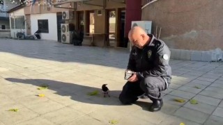 Polis memuru ile saka kuşunun dostluğu görenleri hayrete düşürdü
