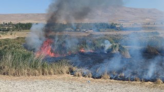 Prof. Dr. Lokman Aslan: Sulak alanlar tabiatın rahimleridir
