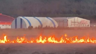 Putka Gölünde çıkan yangın korkuttu
