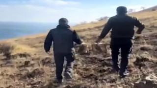 Rehabilite edilen keklikler yeniden doğayla buluştu