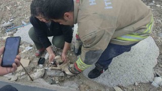 Rögarda mahsur kalan yavru köpeği itfaiye kurtardı