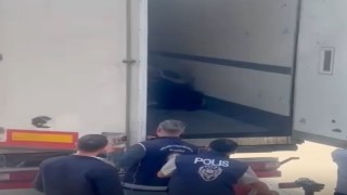 Sakaryada 24 düzensiz göçmen yakalandı