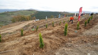 Samsunda 11 Kasım Milli Ağaçlandırma Gününde 37 bin 380 fidan toprakla buluşacak