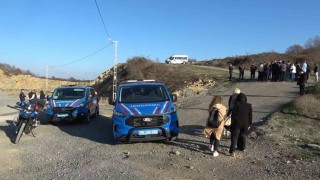 Samsunda 9 köpeğin telef olması: Başkan Kurnazdan tepki