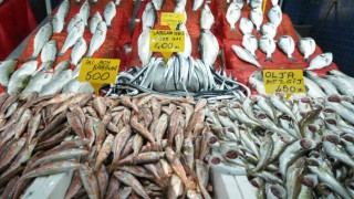 Samsunda balık fiyatlarında son durum