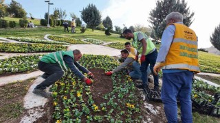 Şanlıurfada 400 bin çiçek toprakla buluşuyor