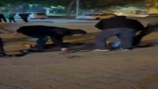 Şanlıurfada bıçaklı kavga: 3 yaralı