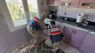 Şanlıurfada çamaşır makinesinden 12 tabanca çıktı