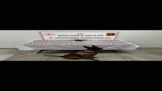 Şanlıurfada uyuşturucu operasyonu: 2 gözaltı