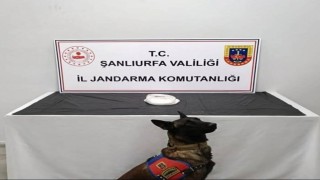 Şanlıurfada uyuşturucu operasyonu: 2 gözaltı