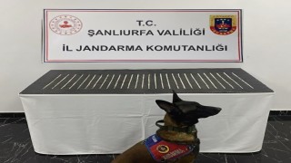 Şanlıurfada uyuşturucu operasyonu: 4 gözaltı