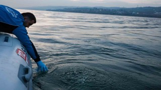 Sapanca Gölündeki kabarcıkların sebebi belli oldu: Yeraltından doğal hava çıkışı