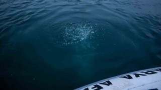 Sapanca Gölündeki kabarcıkların verdiği endişe artıyor: Herkes korkuyor, rahat uyuyamıyoruz