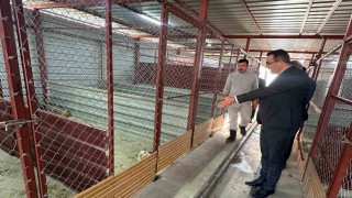 Sarıgölde hayvan bakım hizmetlerine yakın takip