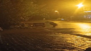 Sarıkamışta ayılar kış uykusunu unuttu