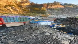 Sarp Sınır Kapısında 6 ton mandalina imha edildi: Zirai ilaç kalıntısı tespit edildi