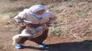 Sasonun cesur ninesi Tayyibe Nine hayatını kaybetti