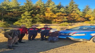 Şavşatta ormanda kaybolan 85 yaşındaki kadın bulundu