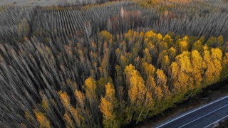 Savur, doğal güzelliğiyle ziyaretçileri mest ediyor