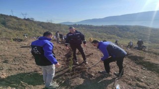 SEDAŞ, 4 ilde 500 fidanı toprakla buluşturdu