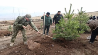 Şehit arkadaşlarının hatırasına 2 bin 400 rakımlı tepeye ağaç diktiler