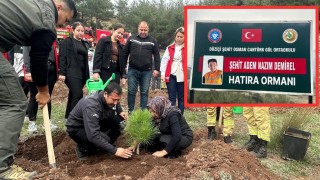 Şehit Orman İşçisinin Adı Hatıra Ormanında Yaşatılacak