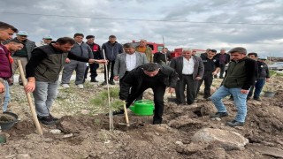 Selendide 800 fidan toprakla buluşturuldu