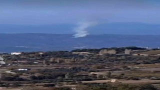 Seydikemerde orman yangını