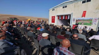 Siirtte 203 ton kırmızı mercimek çiftçilere dağıtıldı