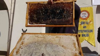 Siirtte arıcılara 41 milyon 436 bin liralık destek