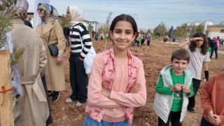 Siirtte binlerce fidan aynı anda toprakla buluştu