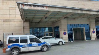 Siirtte Canlı Hayvan Borsasında silahlı ve sopalı kavga: 5 yaralı