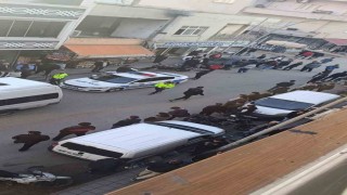 Siirtte iki grup arasında bıçaklı kavga: 2 yaralı