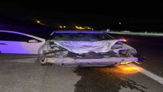 Siirtte otomobilin çarptığı at telef oldu